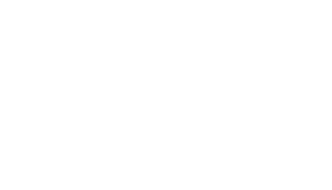 LOGO_VB_Business_Blanc